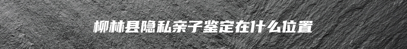 柳林县隐私亲子鉴定在什么位置