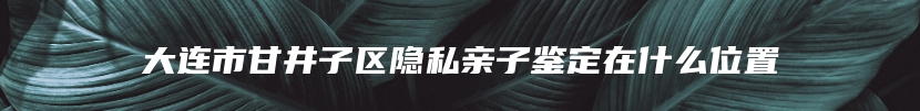 大连市甘井子区隐私亲子鉴定在什么位置