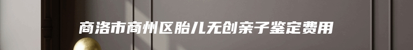 商洛市商州区胎儿无创亲子鉴定费用