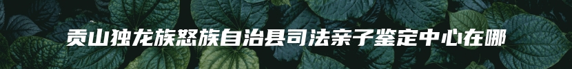 贡山独龙族怒族自治县司法亲子鉴定中心在哪