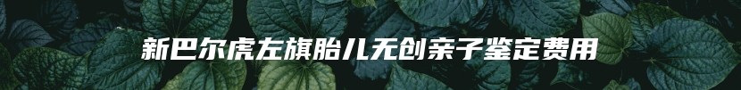 新巴尔虎左旗胎儿无创亲子鉴定费用
