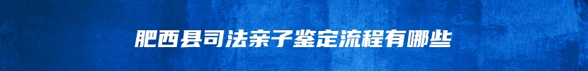 肥西县司法亲子鉴定流程有哪些