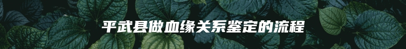 平武县做血缘关系鉴定的流程