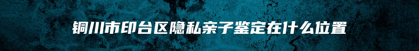 铜川市印台区隐私亲子鉴定在什么位置