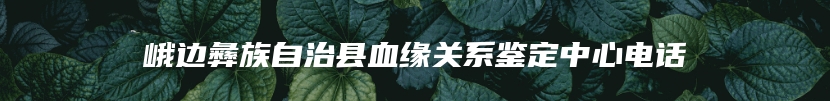 峨边彝族自治县血缘关系鉴定中心电话