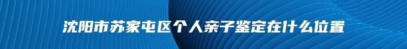 沈阳市苏家屯区个人亲子鉴定在什么位置