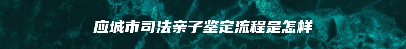 应城市司法亲子鉴定流程是怎样