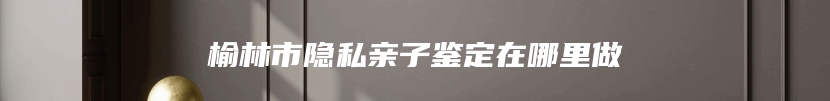 榆林市隐私亲子鉴定在哪里做