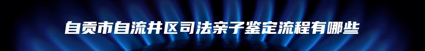 自贡市自流井区司法亲子鉴定流程有哪些