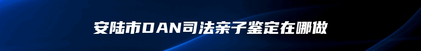 安陆市DAN司法亲子鉴定在哪做