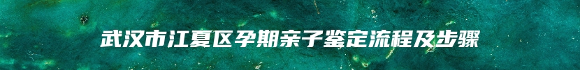 武汉市江夏区孕期亲子鉴定流程及步骤