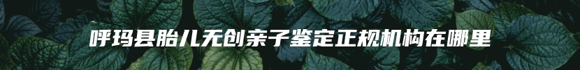 呼玛县胎儿无创亲子鉴定正规机构在哪里