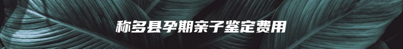 称多县孕期亲子鉴定费用