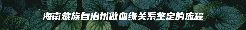 海南藏族自治州做血缘关系鉴定的流程