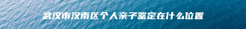 武汉市汉南区个人亲子鉴定在什么位置