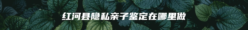 红河县隐私亲子鉴定在哪里做