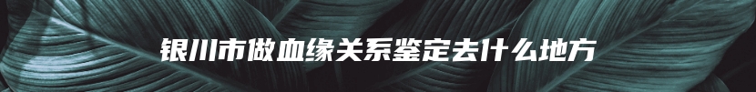 银川市做血缘关系鉴定去什么地方