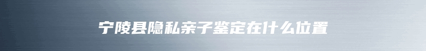 宁陵县隐私亲子鉴定在什么位置