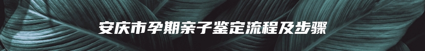 安庆市孕期亲子鉴定流程及步骤