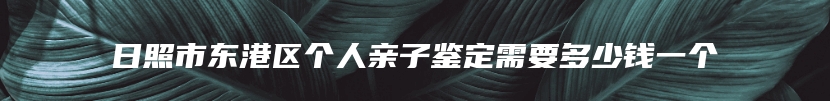 日照市东港区个人亲子鉴定需要多少钱一个