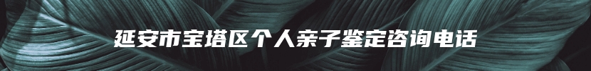 延安市宝塔区个人亲子鉴定咨询电话