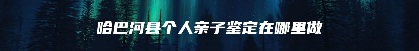 哈巴河县个人亲子鉴定在哪里做