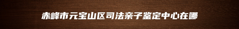 赤峰市元宝山区司法亲子鉴定中心在哪