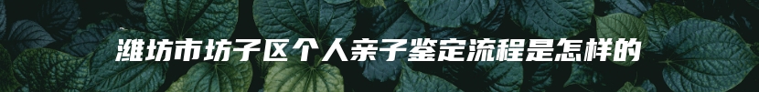 潍坊市坊子区个人亲子鉴定流程是怎样的
