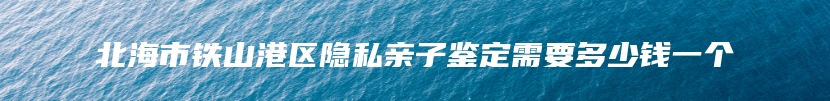 北海市铁山港区隐私亲子鉴定需要多少钱一个