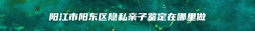 阳江市阳东区隐私亲子鉴定在哪里做