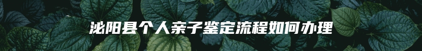泌阳县个人亲子鉴定流程如何办理