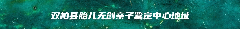 双柏县胎儿无创亲子鉴定中心地址
