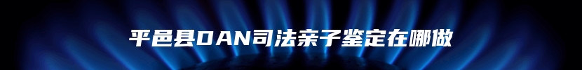 平邑县DAN司法亲子鉴定在哪做