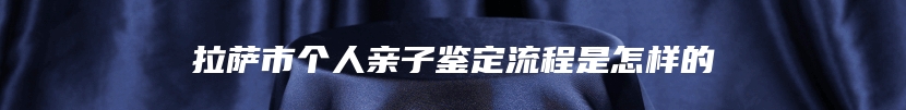 拉萨市个人亲子鉴定流程是怎样的