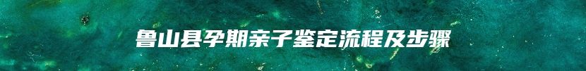 鲁山县孕期亲子鉴定流程及步骤