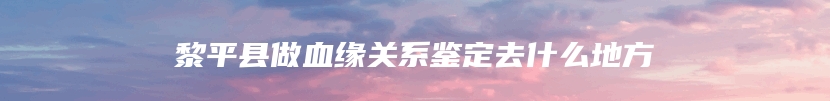 黎平县做血缘关系鉴定去什么地方