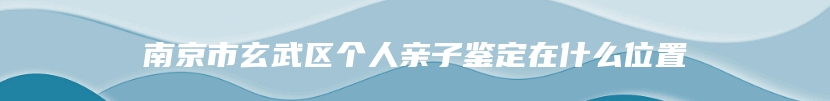 南京市玄武区个人亲子鉴定在什么位置