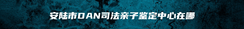 安陆市DAN司法亲子鉴定中心在哪