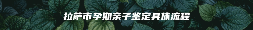 拉萨市孕期亲子鉴定具体流程