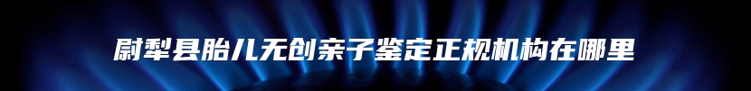 尉犁县胎儿无创亲子鉴定正规机构在哪里