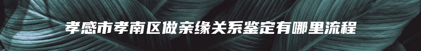 孝感市孝南区做亲缘关系鉴定有哪里流程