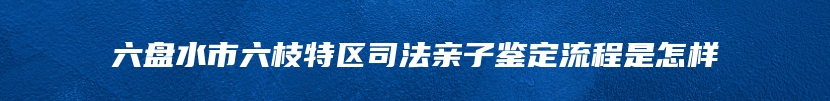 六盘水市六枝特区司法亲子鉴定流程是怎样