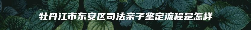 牡丹江市东安区司法亲子鉴定流程是怎样