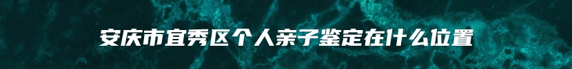 安庆市宜秀区个人亲子鉴定在什么位置