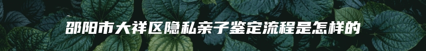 邵阳市大祥区隐私亲子鉴定流程是怎样的