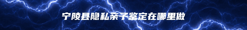 宁陵县隐私亲子鉴定在哪里做