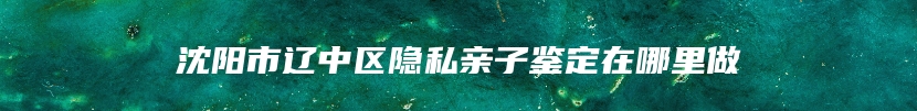 沈阳市辽中区隐私亲子鉴定在哪里做