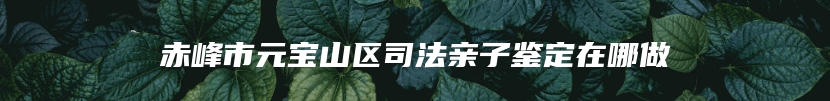 赤峰市元宝山区司法亲子鉴定在哪做