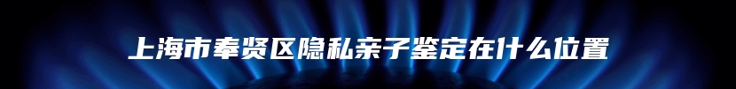 上海市奉贤区隐私亲子鉴定在什么位置