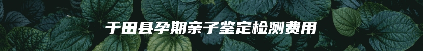 于田县孕期亲子鉴定检测费用